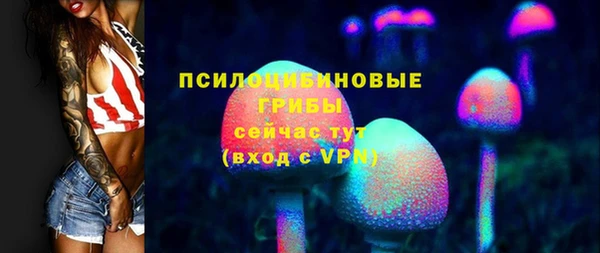 индика Нефтегорск