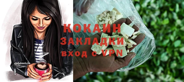 дживик Навашино