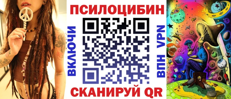 Псилоцибиновые грибы Psilocybine cubensis  блэк спрут как войти  Новомосковск 