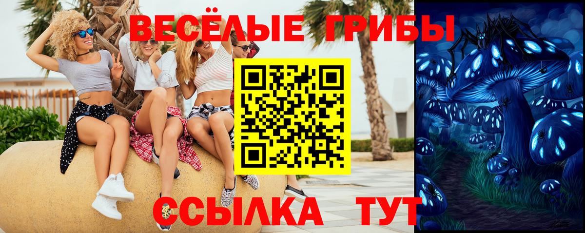 Новомосковск  наркошоп  Вход с VPN  Псилоцибиновые грибы ЛСД 